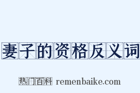 妻子的资格反义词是什么意思的图片